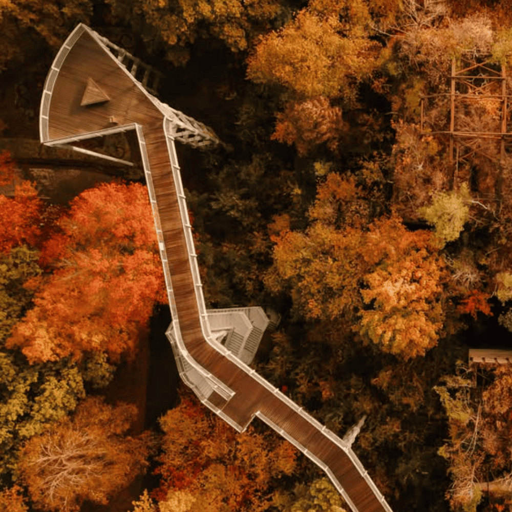 Beelitz Tree Walk | 10 Things To Do in Berlin This Fall | Berlin Travel Tips