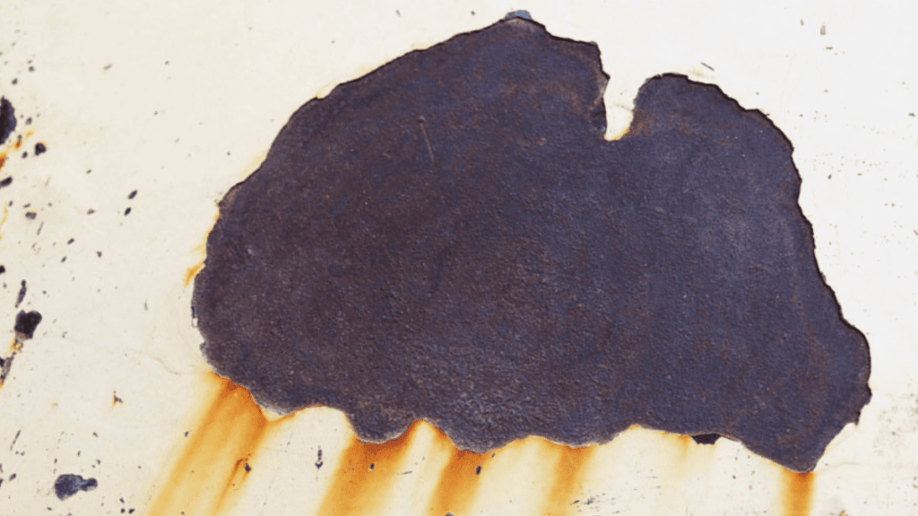 Cornelia Parker. Stolen Thunder (A Storm Gathering) | Kindl