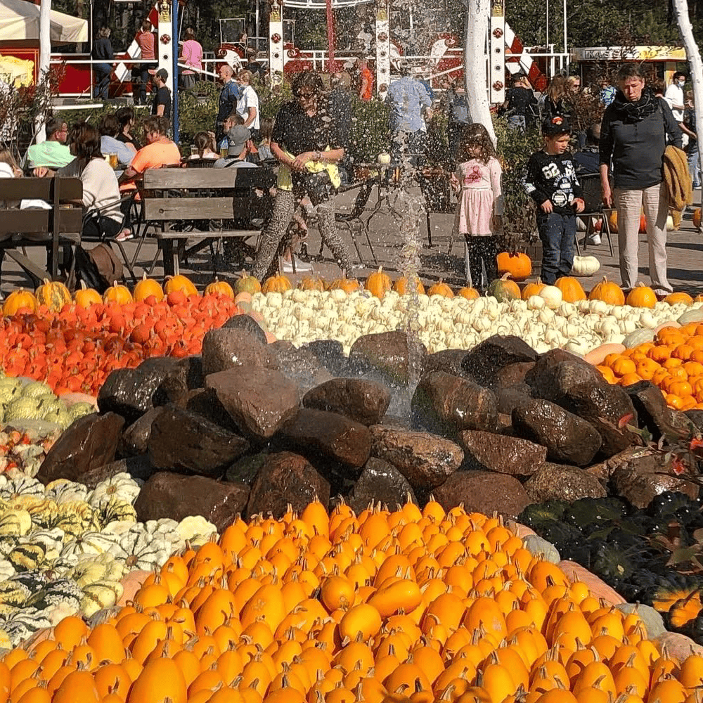 Spargelhof Klaistow Pumpkin | 10 Things To Do in Berlin This Fall | Berlin Travel Tips