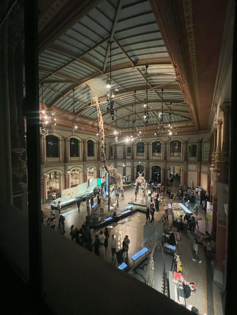 Museum für Naturkunde Berlin Museums