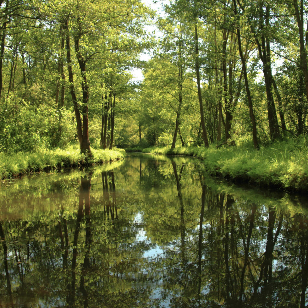 Spreewald | Day Trips from Berlin